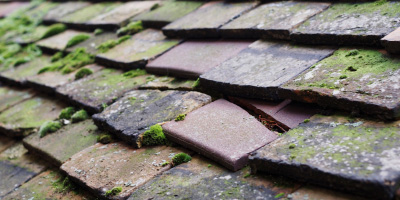 Northill roof repair costs